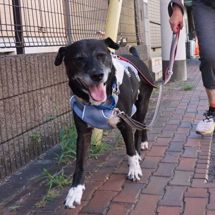 231a603d 3f79 499c b366 3d6d69431872 1756770422501