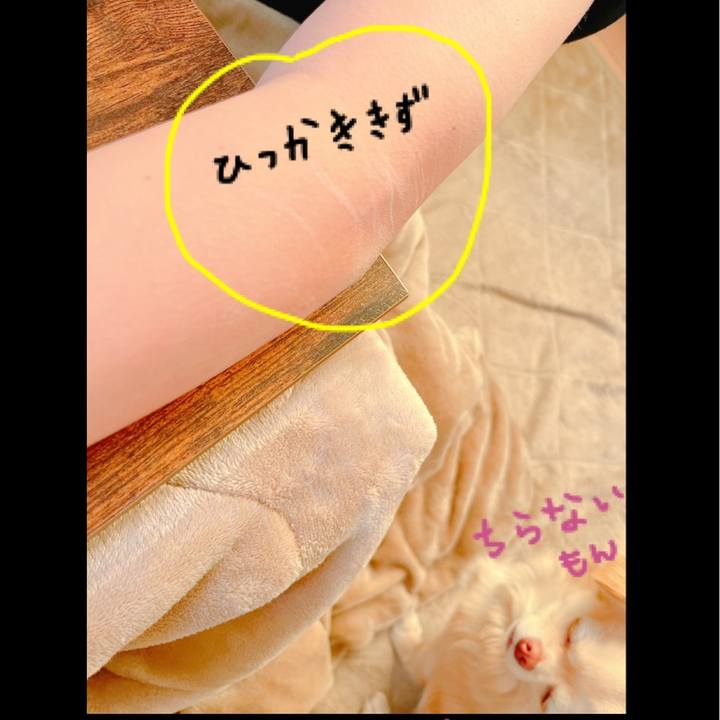 231a901a e05e 4b9c 8f51 bccca3ecdce2 1648167221555