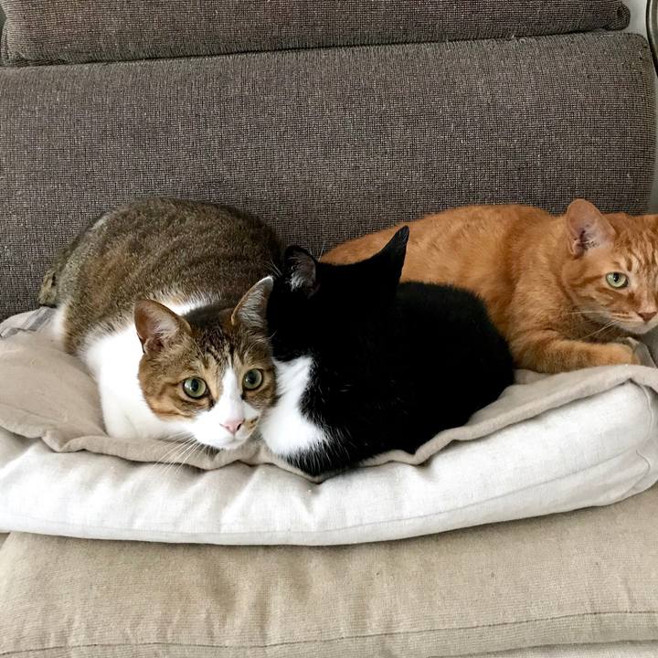 231ab0f4 9189 493e a900 8f074a7506ab 1561301916883