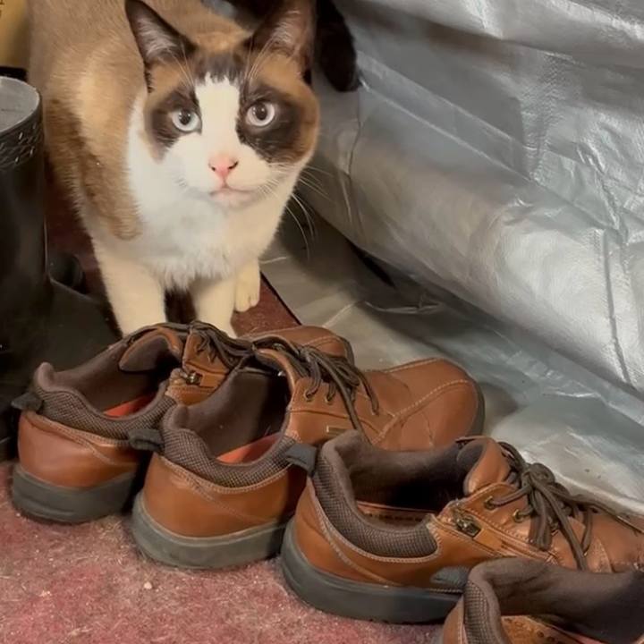 231abec4 29f4 4666 ae1e fb00c907af95 1752896378387