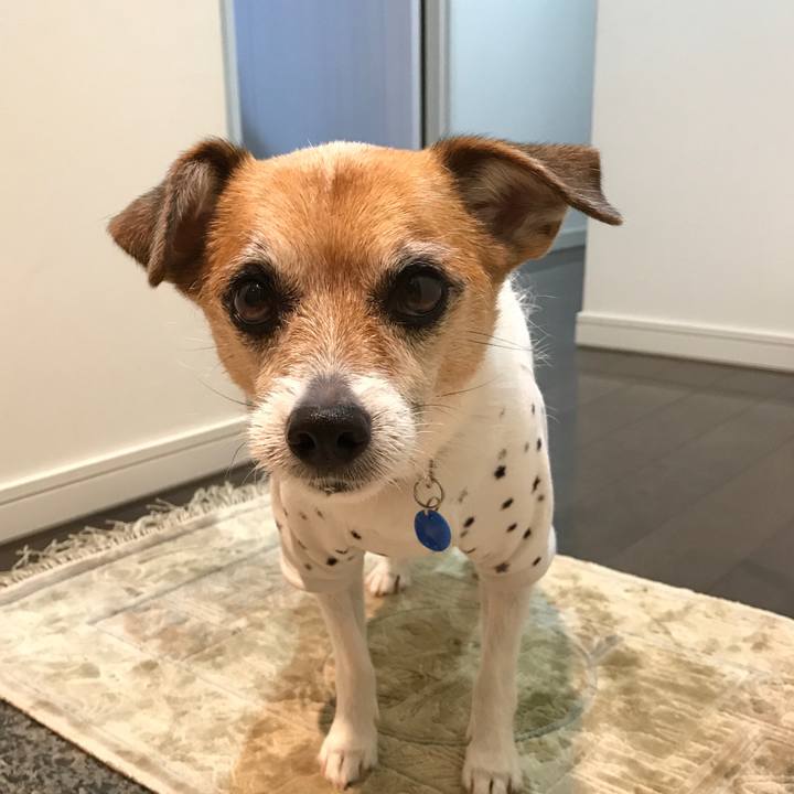 231ae8ec a1c2 4f0c a026 75b4c1776746 1578261652987