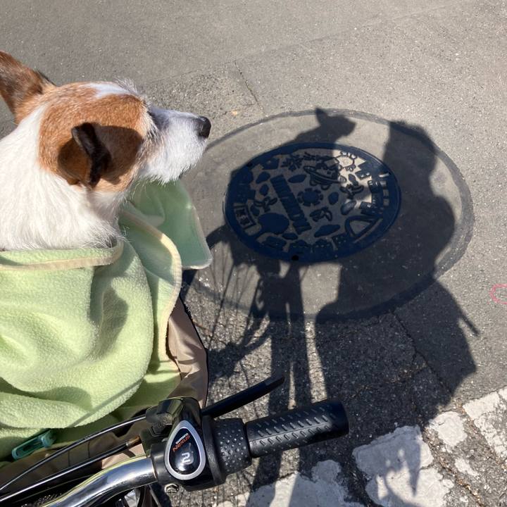 231b6aa2 113b 4706 8197 48a13d719c7b 1677194721415