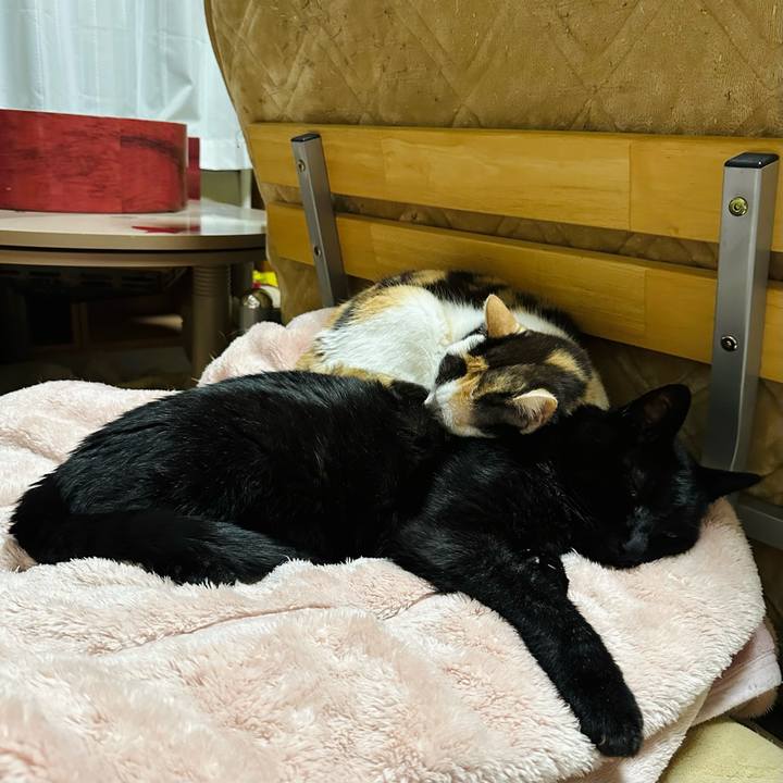 231b7f34 0715 4239 93b5 955d8d6957b7 1679795356538