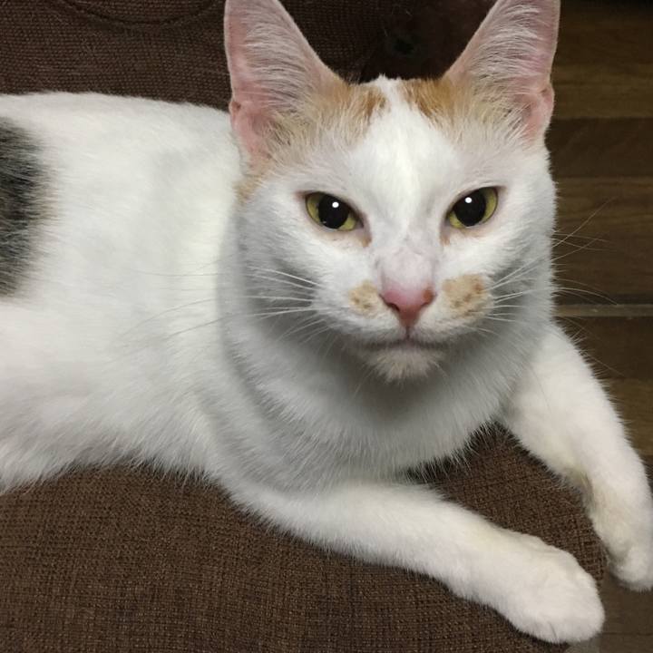 231bae13 25ac 4331 bb71 227a8deead7c 1567837151396