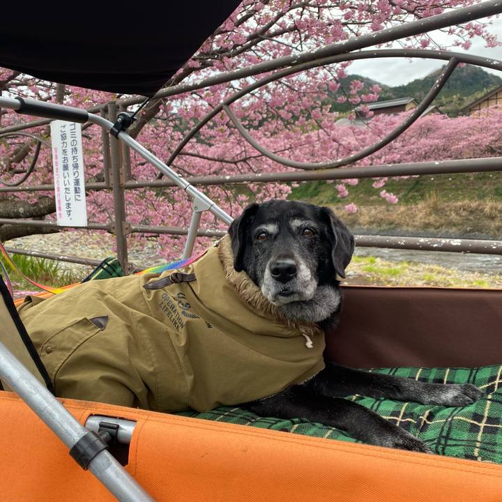 231bdd52 0241 488f 9ea8 89a15730f6d5 1708079246998