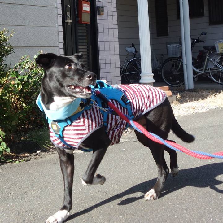 231c3117 2bcf 4951 96ab ce3ec6f27002 1628034807370