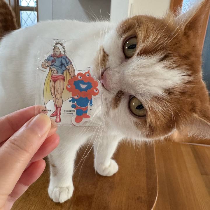 231c34a7 6332 4003 a4a9 2d95bfdcdcd9 1768005503497