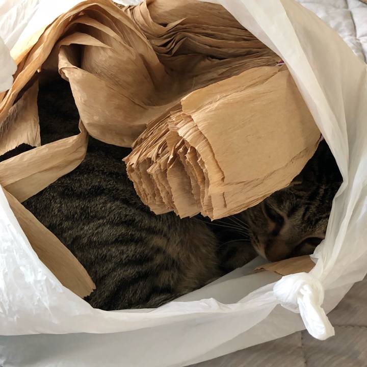 231c61b4 ece2 4913 9c96 aa544521e093 1534173792970