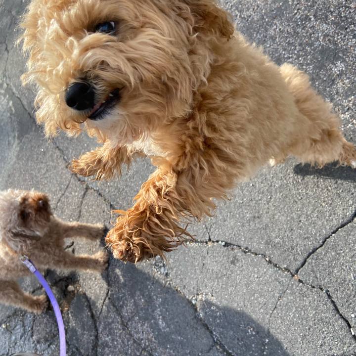 231ca104 4724 4988 a936 d73217b0ca73 1680999090900