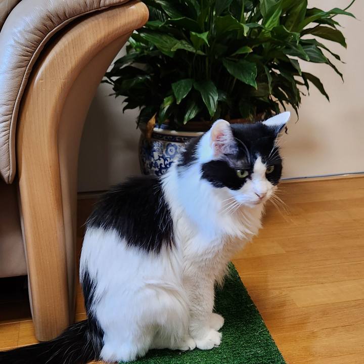 231ca220 8225 46c3 bcd4 76197f1161d7 1725745071920