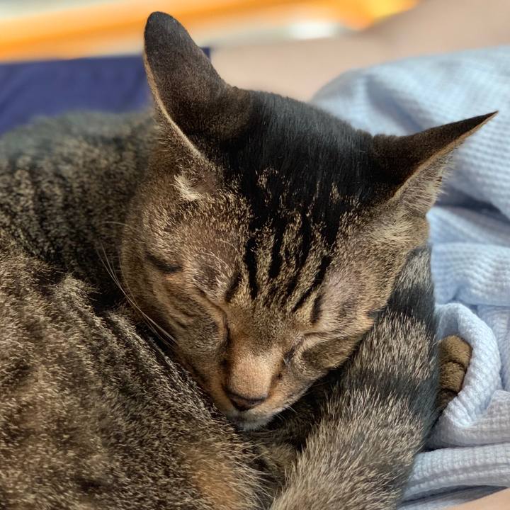 231ca5e2 f4aa 465f b72b 7946274ae11f 1560733188522