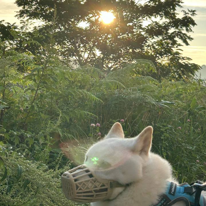 231ce480 833a 4143 8cb7 0989999e4488 1725484318222