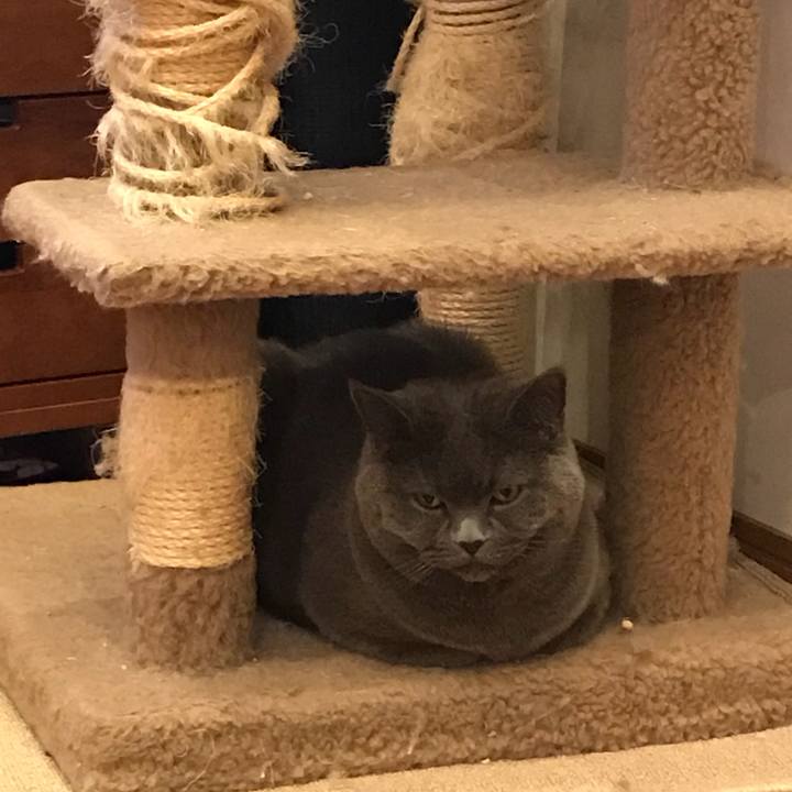 231ce96b 38a3 4517 ad7a 7cb8e61fef03 1518005512647