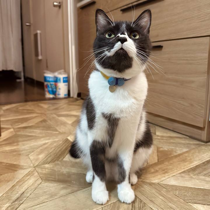 231d9149 c47b 4998 87b5 220adcd87492 1768578260117