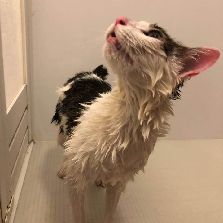 231d9887 ce03 4e97 9555 410fcf5f1dc5 1597065347083