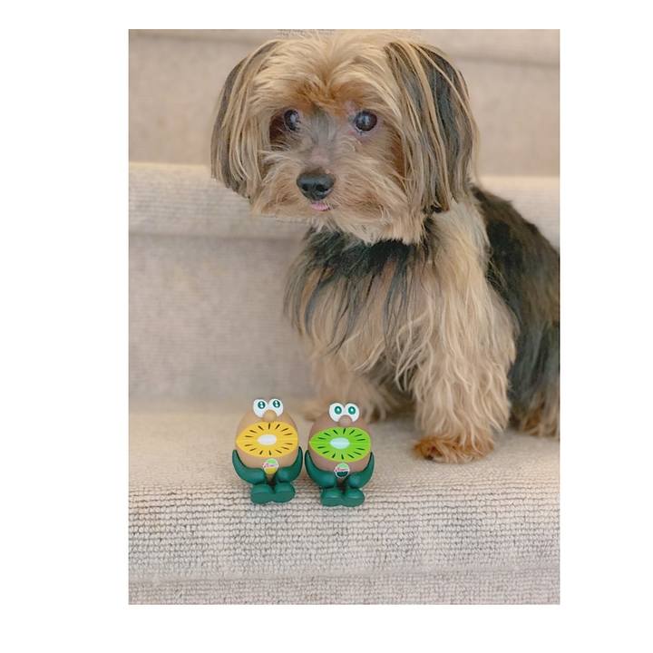 231df67f 0aef 4158 ae2c ccea1a760898 1567213734607