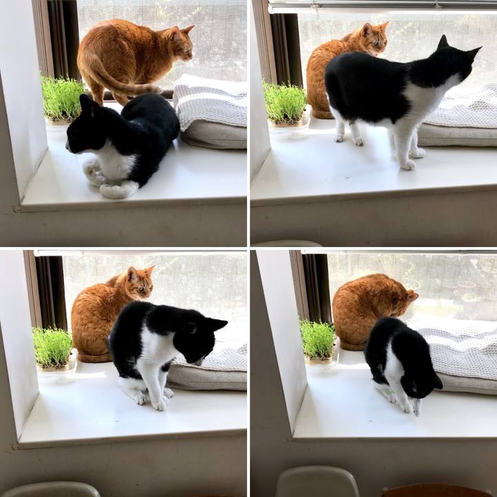 231e14b8 977a 4b9b 9cca d69dceb3c9b4 1522307038166