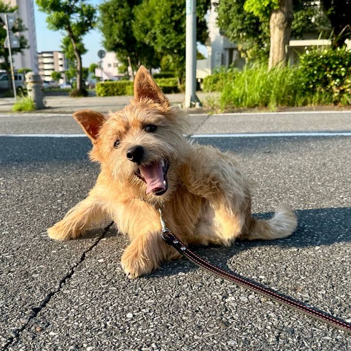 231e4fa8 b9a8 4f34 99a4 866a1c1aa6d7 1720144181894