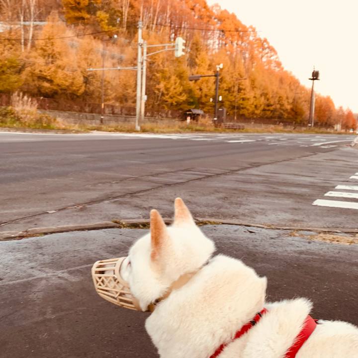 231e7450 0ce8 453e adbd 9cba2051f351 1605392339519