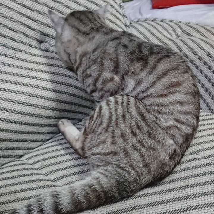 231e7b35 cfeb 4834 9398 460964c814ea 1558784795599