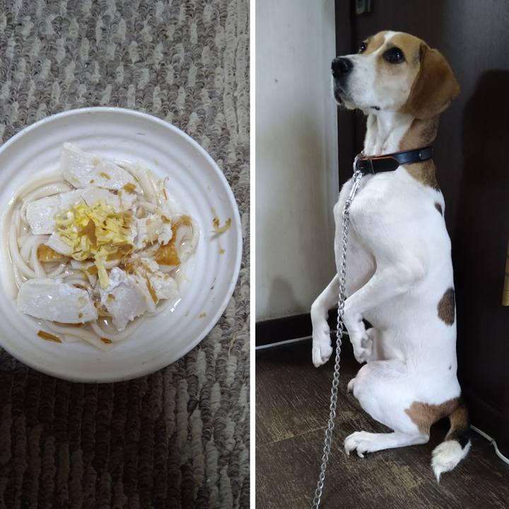 231e8f45 f41d 4223 9a8d 0b723ab53ff5 1628586244942