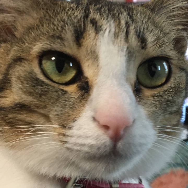 231e9672 7f5f 4c02 bf84 f0ef6128b9b6 1665182959499