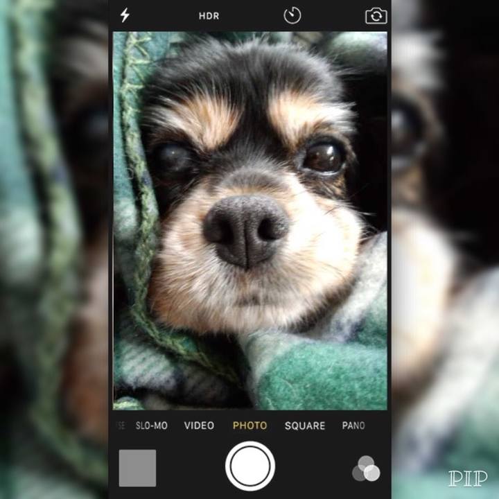 231eab75 7af8 46ea 834f 46881a074f90 1510578581997