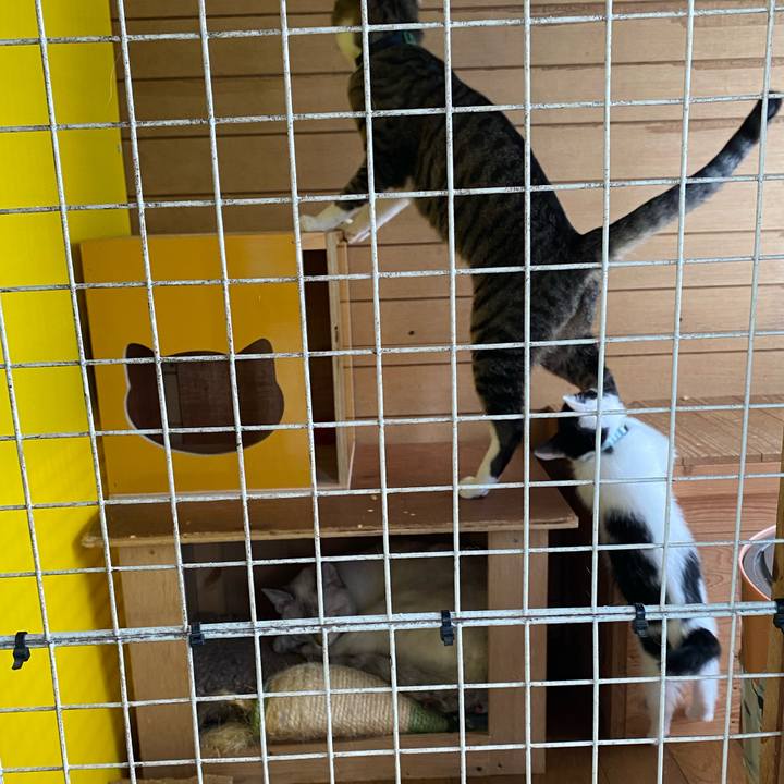 231edea9 5e63 44f7 88ae ba0619c36faa 1653969595342