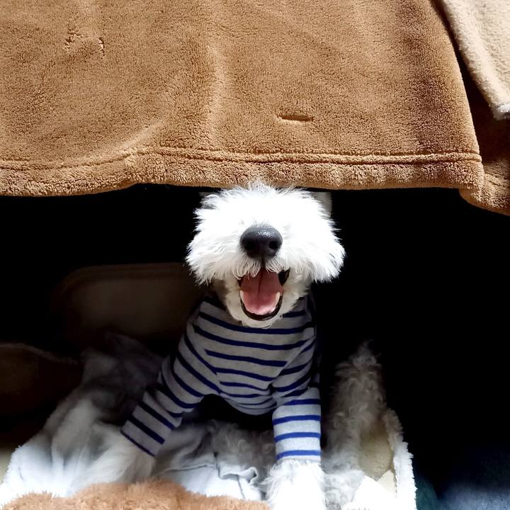 231ef3a4 0882 42e0 b5af d7e00bd3f3a4 1614262130118