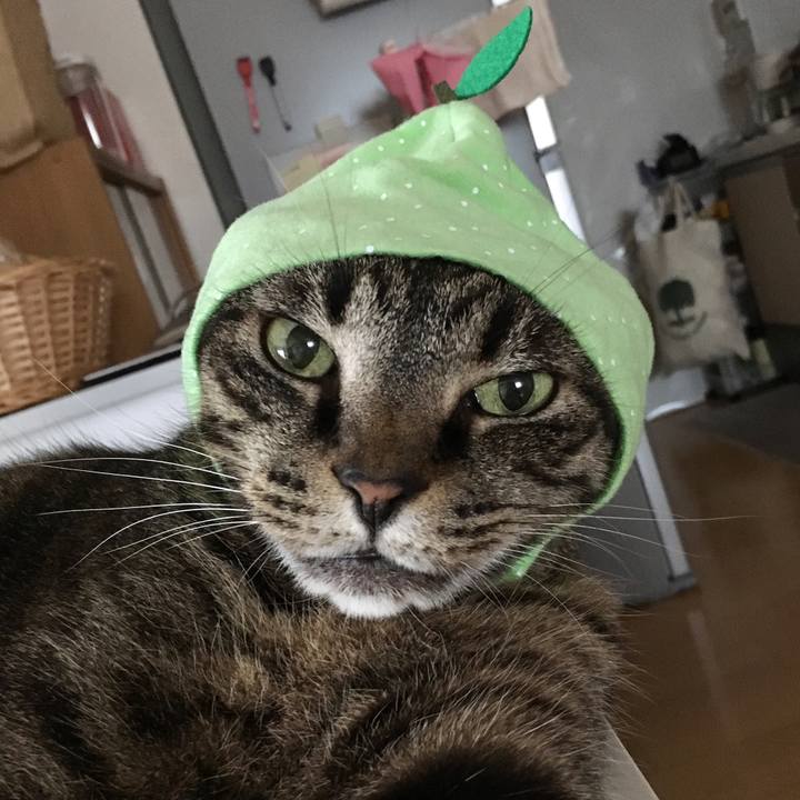 231ef63a db13 47a7 a35f f081d0b78124 1531704796102