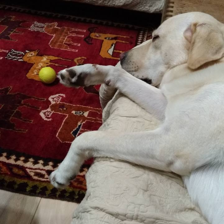 231f21e6 d679 4451 b14e ab900879b251 1539689346275