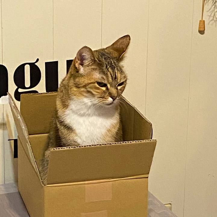 231f68ef 631e 43f8 9740 39e4850bb284 1616849302726