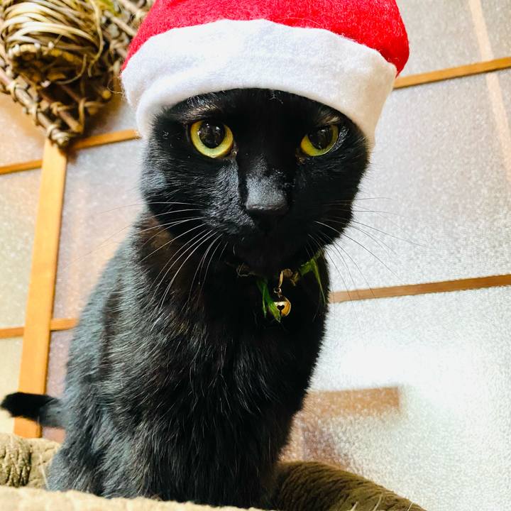 231f788b 8f91 426b a47a e26c229231a2 1703454484731