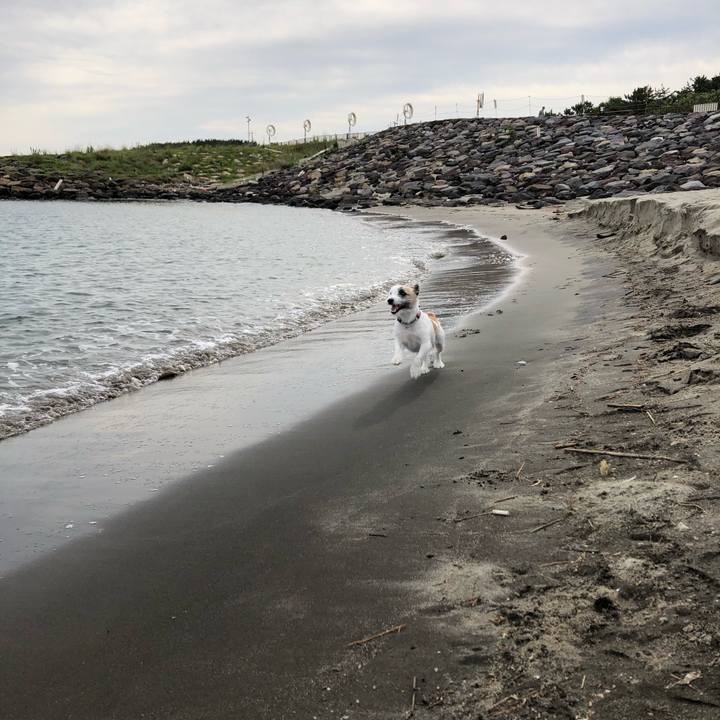 231f7ada 03b5 4647 91b5 2faef1497d8e 1594940978361