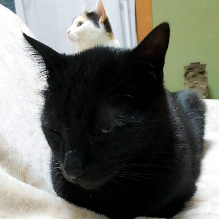 231f98c6 96bd 4b3b a470 61305bc43968 1521985848278