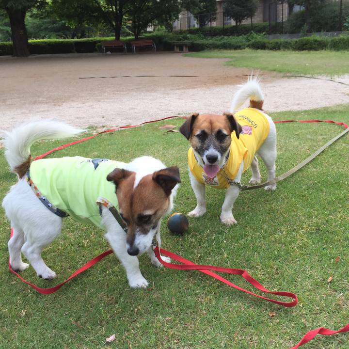 231fe115 2422 444a aafe dc770747a5b9 1525995585151