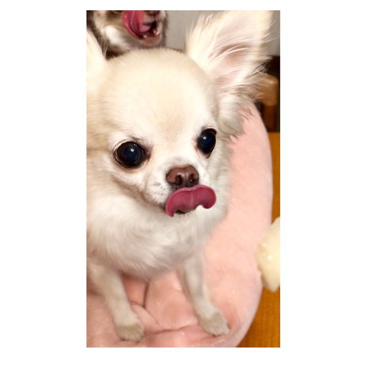 231fe534 7597 47ff b8f0 1fc90e870c35 1534249966991