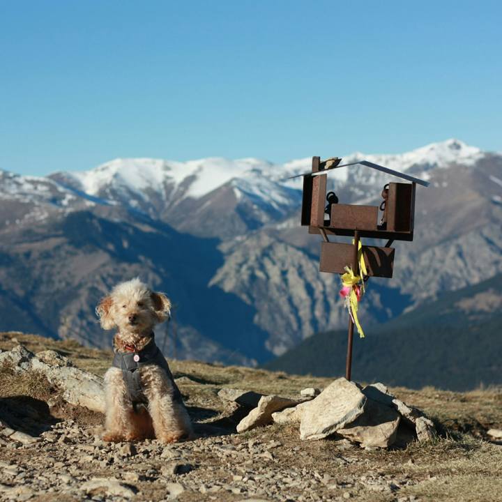 23203d1f 277f 4520 8021 cebf85a27964 1547508480394