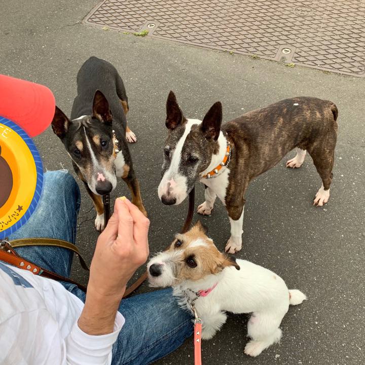 23206486 1e91 4bba 8d18 4218d26824ee 1589021991413