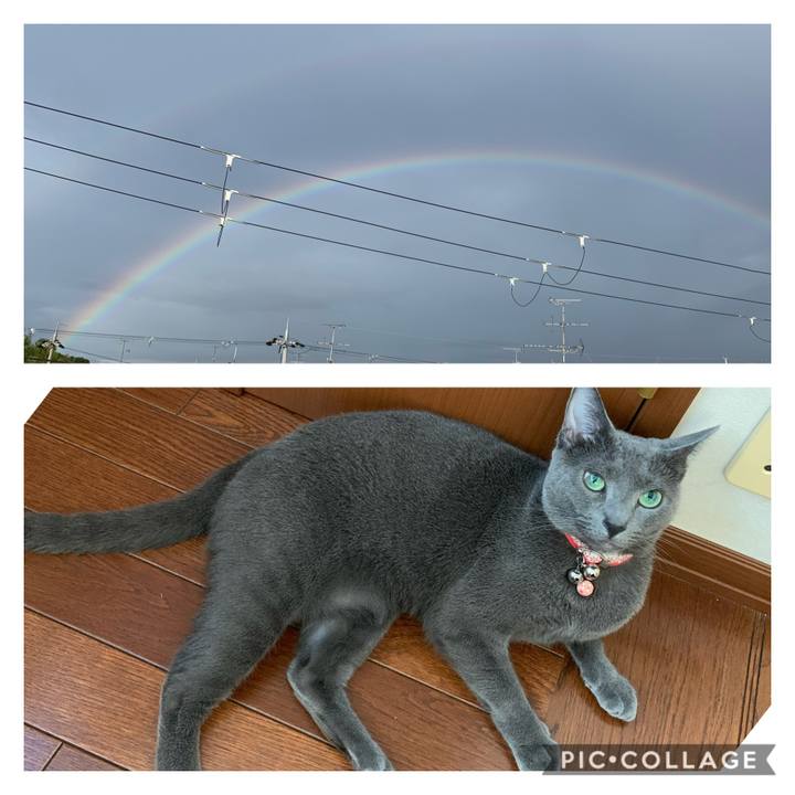 23209870 a853 4628 b7c0 61b00dccd008 1591784461318