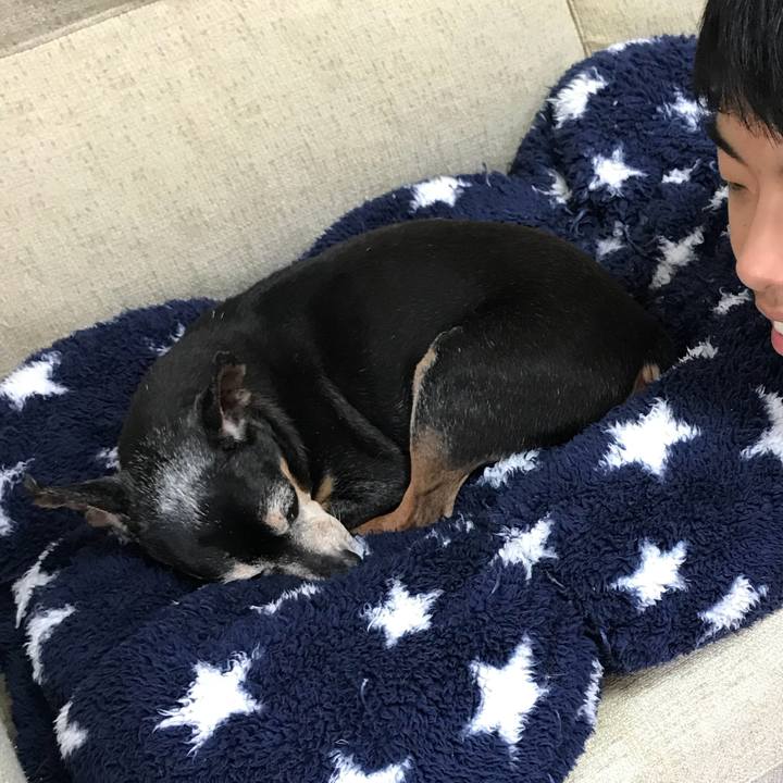 2320dcdb 3d41 482a bd40 f413f6efc2b2 1565927872342