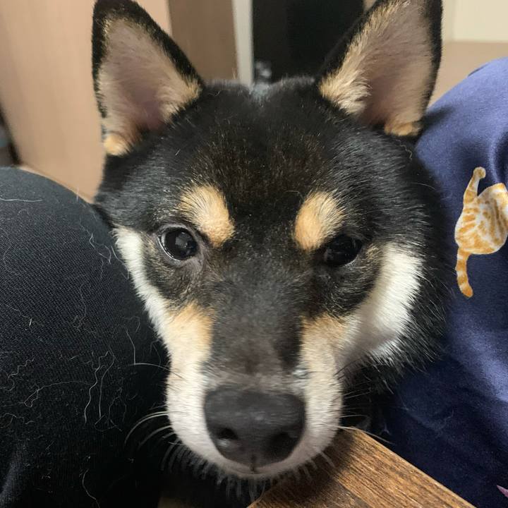 2320ee0d c8eb 4502 929b 447b5d09b4bf 1635151090949