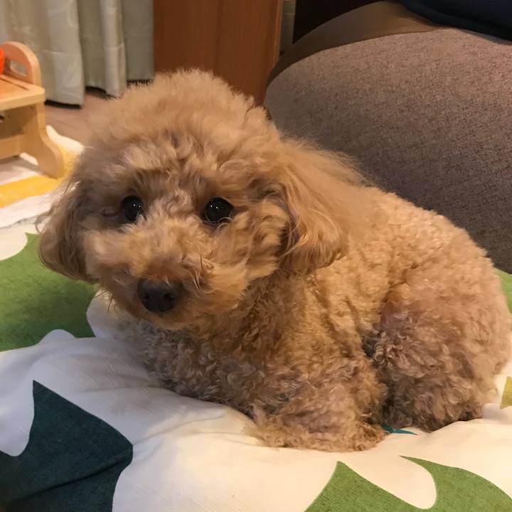 232104f9 013b 4628 bb84 fa2bbf4f8c00 1521818898967