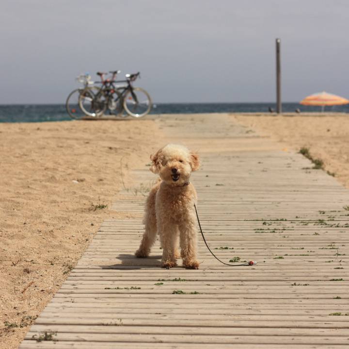 23211c8b a3bf 4c02 85c1 6bb77ee3d9be 1527777803743