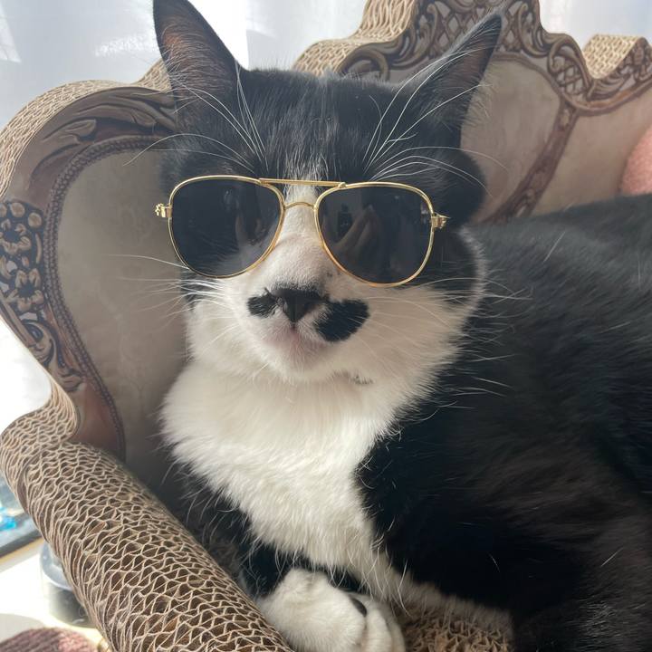 23216711 c1c8 4673 8f43 bb6ad27a8541 1681340113026