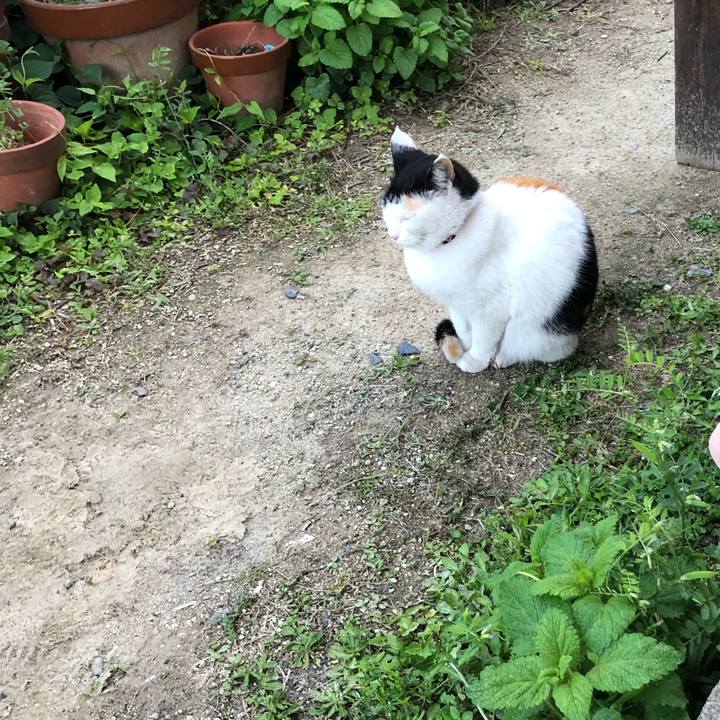 23217fbf 83d9 4af6 bd1e 42e615c834df 1617705266902