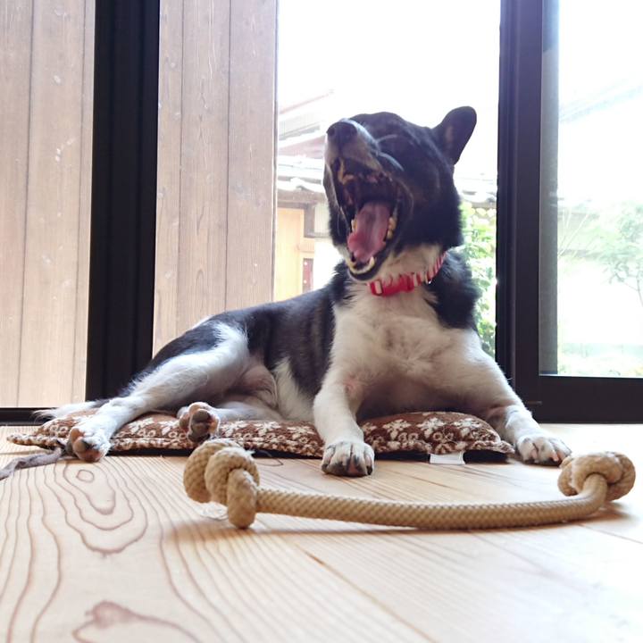 23219b57 087c 4c31 9932 8befee5cdefb 1595161970506