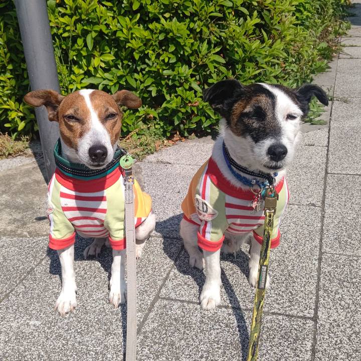 2321b85c 4d56 469d 85bd a436d25a8ff9 1683762784023