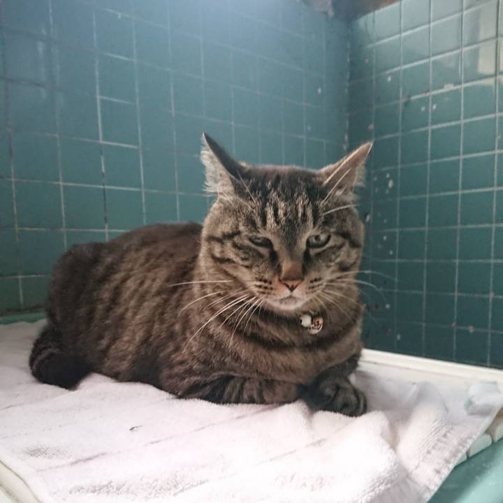 232206ca c3e3 48f3 aeed abd138f2ee35 1653818390749