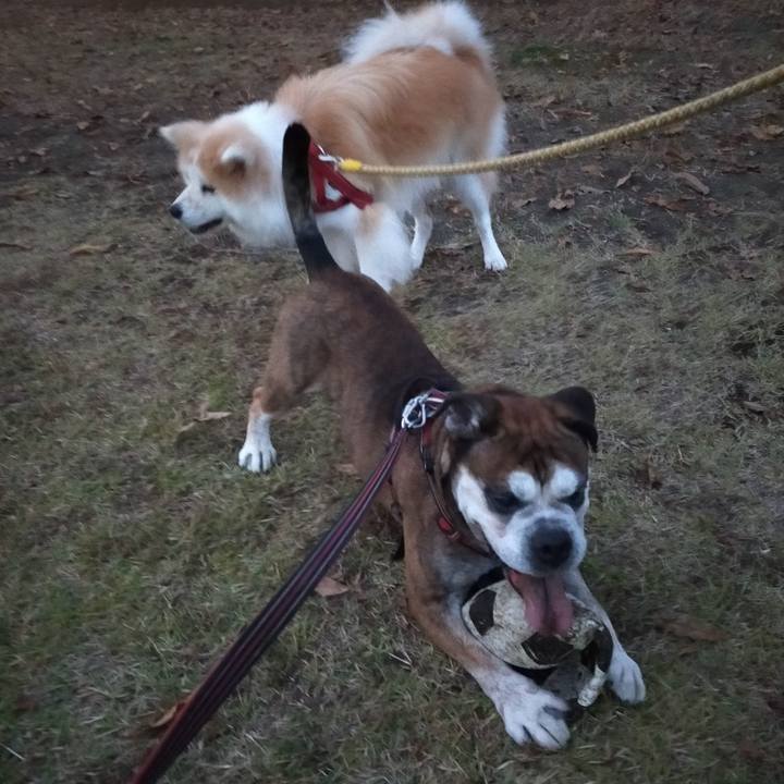 23225989 dc29 422d 8603 218515506713 1635855182908